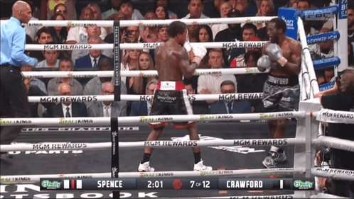 Round 7 Bud Crawford Versus Errol Spence GIF