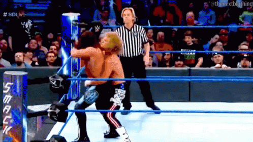 Roundhouse Kick Kevin Owen GIF