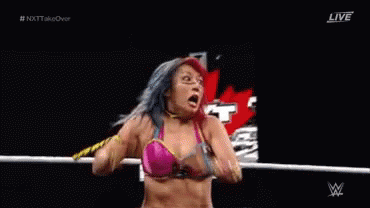 Roundhouse Kick Mickie James GIF