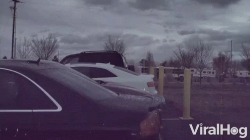 Row of Cars Parked in Parking Lot Viralhog