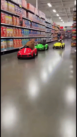 Row of Toy Cars Driving Down Store Aisle