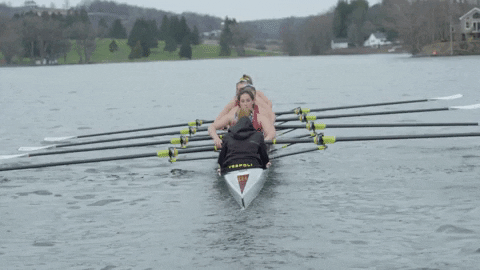 Rowing Fast Machine Form Work GIF