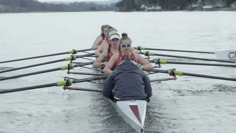 Rowing Machine Form Rowing Team Work GIF