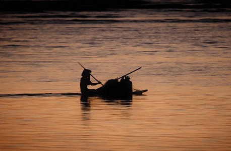 Rowing Machine Form Silhouette GIF