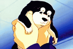 Roy Mustang Fullmetal Alchemist Cute Puppy Smile GIF