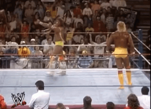 Royal Rumble 1990 GIF