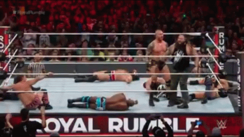 Royal Rumble Randy Orton And Bray Wyatt Standing GIF