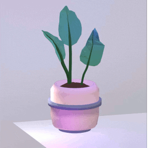 Rubber Plant Spinning Slowly GIF