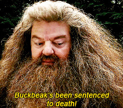 Rubeus Hagrid And Buckbeak GIF