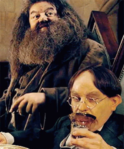 Rubeus Hagrid And GIF