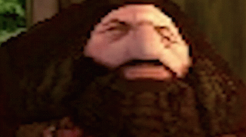 Rubeus Hagrid Distorted Cartoon Face GIF