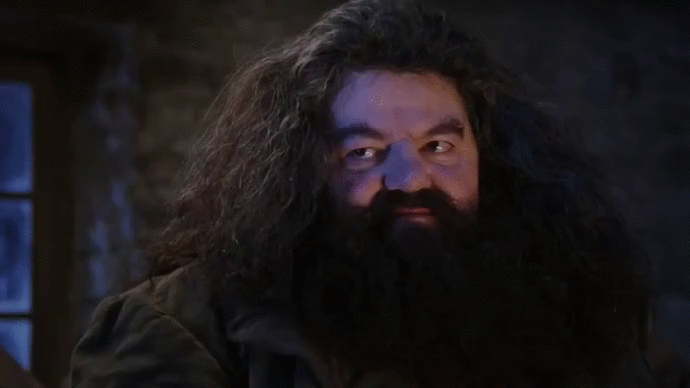 Rubeus Hagrid Doppelganger GIF