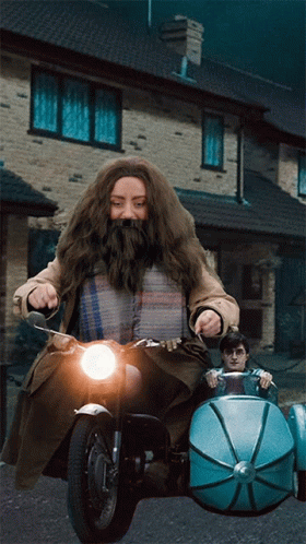 Rubeus Hagrid Driving GIF