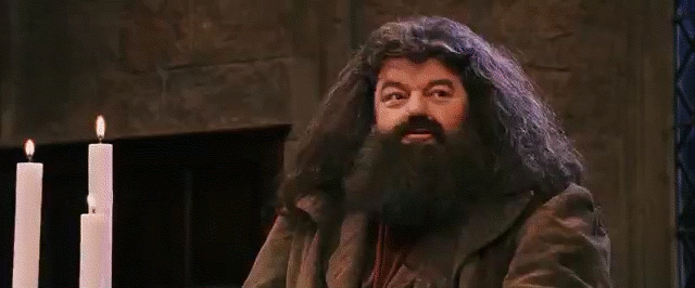Rubeus Hagrid Happy Clapping GIF