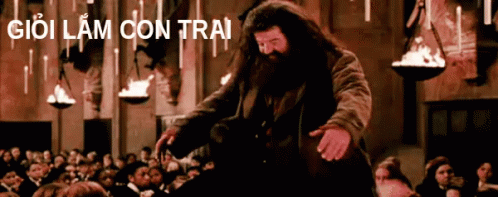 Rubeus Hagrid Hugs Harry Potter GIF