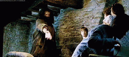 Rubeus Hagrid Punish Dudley GIF