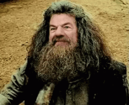 Rubeus Hagrid Watching Above GIF