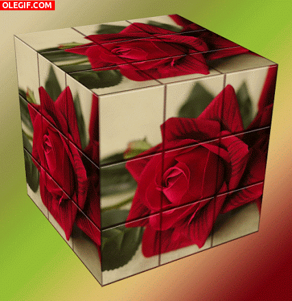 Rubik's Cube Rosas GIF