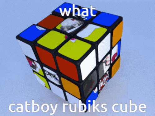 Rubik's Cube What Catboy GIF