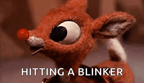 Rudolph Hitting A Blinker GIF