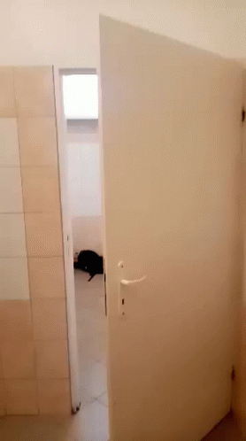 Rudy Eating In The Toilet GIF