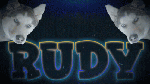 Rudy Rudilives Sticker GIF