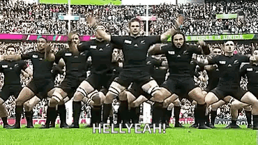 Rugby Players Performing Haka For Crowd GIF