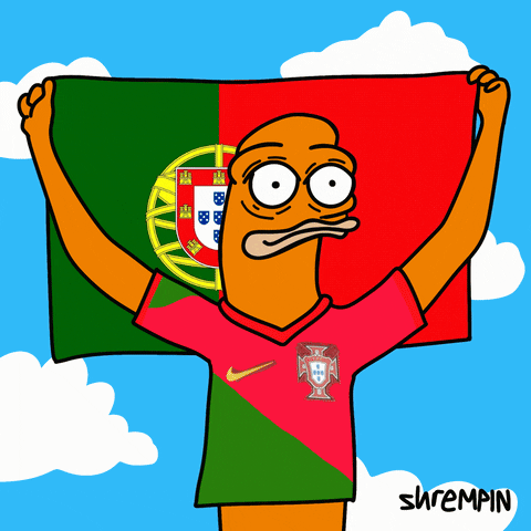 Rui Patricio Pepe Portugal Football GIF