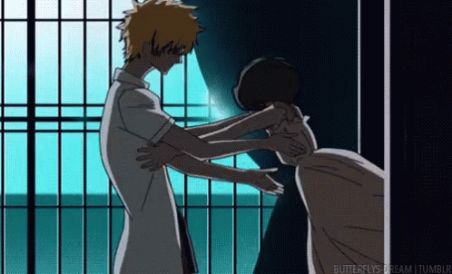 Rukia Kuchiki Hugged Ichigo Kurosaki GIF