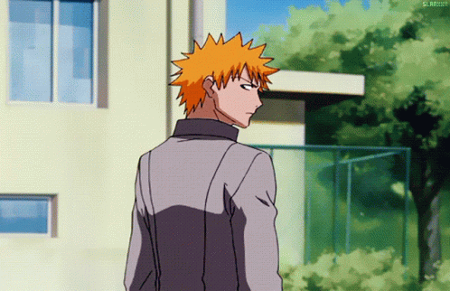 Rukia Kuchiki Power Punch To Ichigo Face GIF