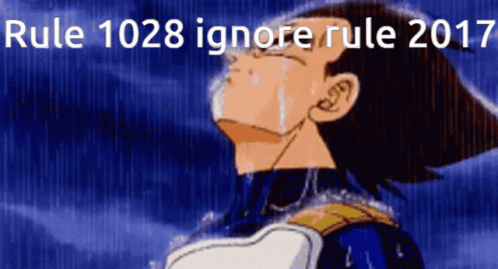 Rule 1028 Ignore Rule 2017 Is Written Over A Picture Of A Person GIF