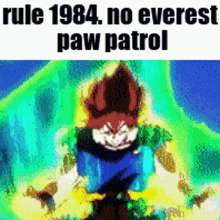 Rule 1984 No Everest Paw Patrol GIF