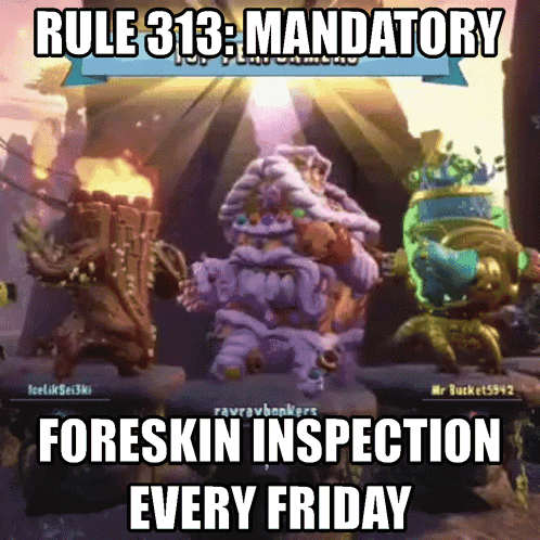 Rule 313 Foreskin Inspection Screen GIF