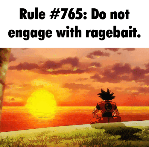 Rule # 765 : Do Not Engage With Ragebait With A Sunset In The Background GIF