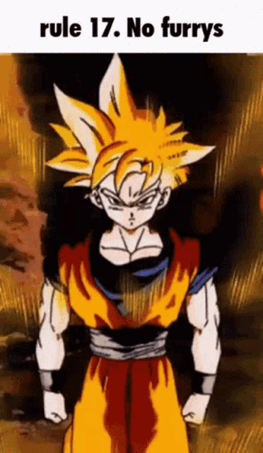 Rule17 No Furries Gif GIF