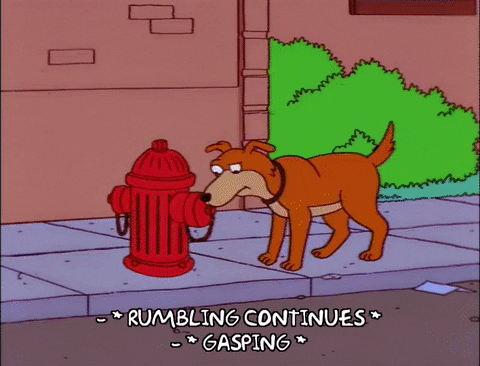 Rumbling Continues Dog Runs GIF