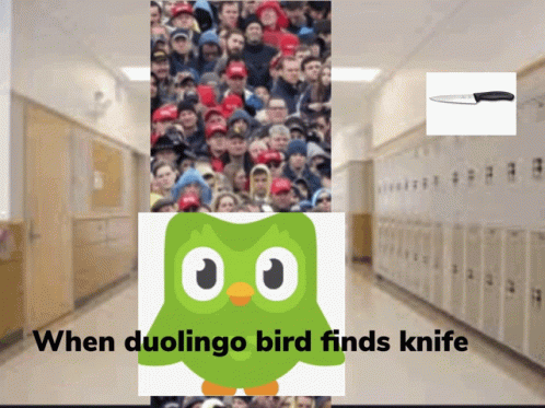 Run Duolingo Meme GIF