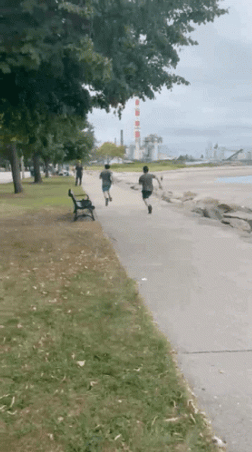 Running After Kid Faceplant Fall GIF