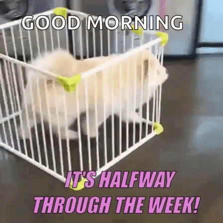 Running Away Dog Half Way There GIF