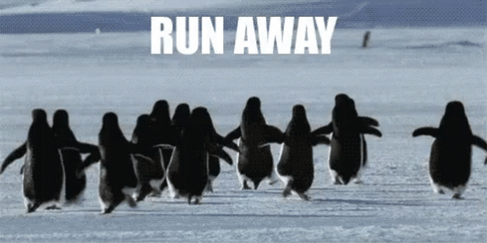 Running Away Penguins GIF