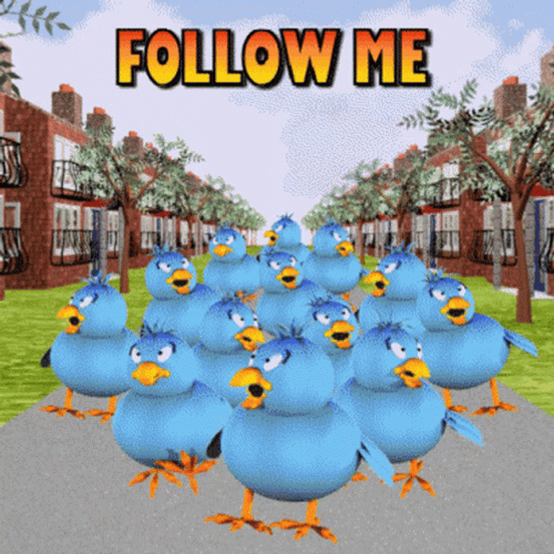 Running Blue Chicks Follow Me GIF
