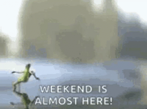 Running Frog Weekend Meme GIF