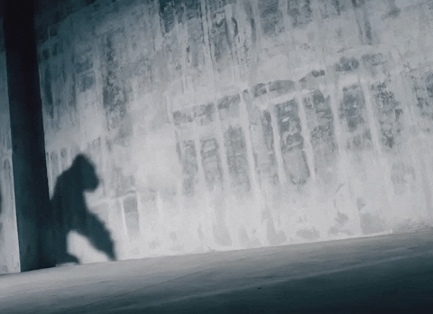 Running Gorilla Shadow GIF