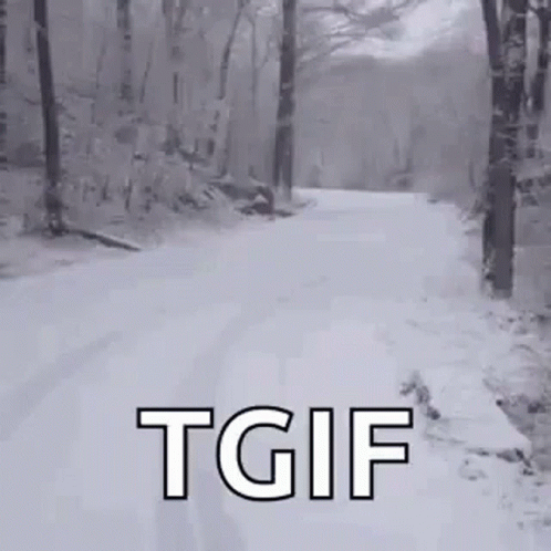 Running In The Snow Forest Tgif Meme GIF