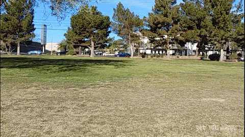 Running Sports Car Black Chevrolet Corvette GIF