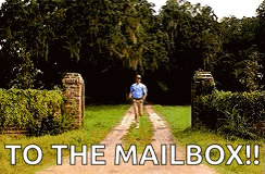 Running To The Mail Box GIF