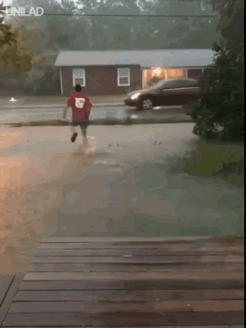 Running Water Fall Drowning Flood GIF