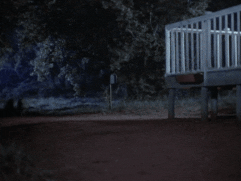 Running Wolves With Red Eyes GIF
