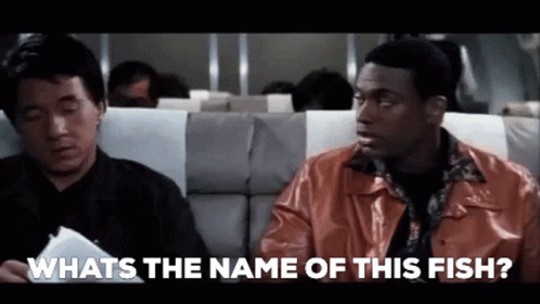 Rush Hour What's The Name Of This Fish GIF