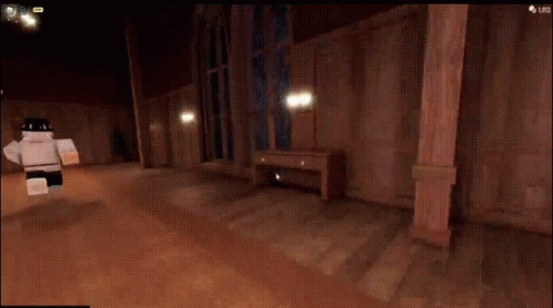 Rush Speedy Shaky First Person Shot Doors GIF